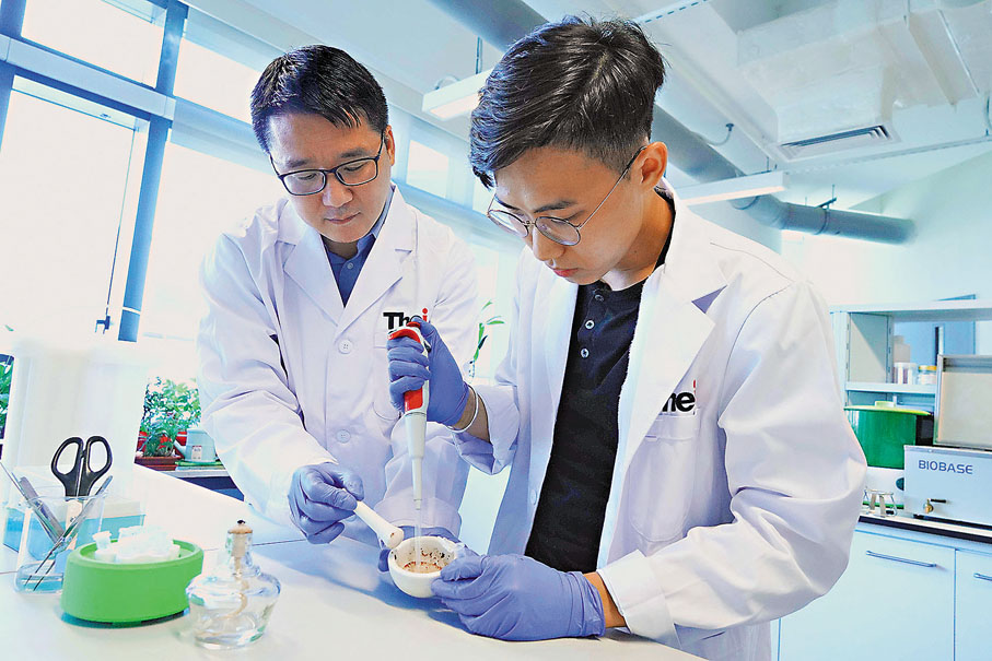 ●張浩（左）及畢業生李佳鎮（右）研究發現，應用科技進行的快速檢測方法，可以縮短近半評估褐根病的時間。 VTC供圖