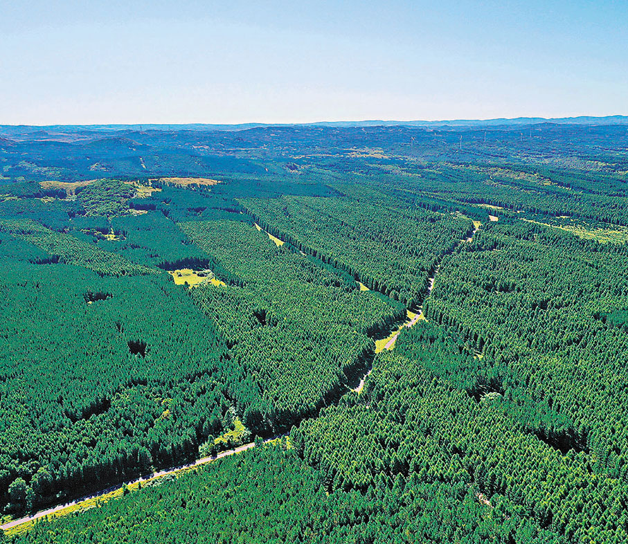 ●位於河北北部的塞罕壩，半個世紀前還是飛鳥不棲、黃沙遮天的茫茫荒原。 資料圖片