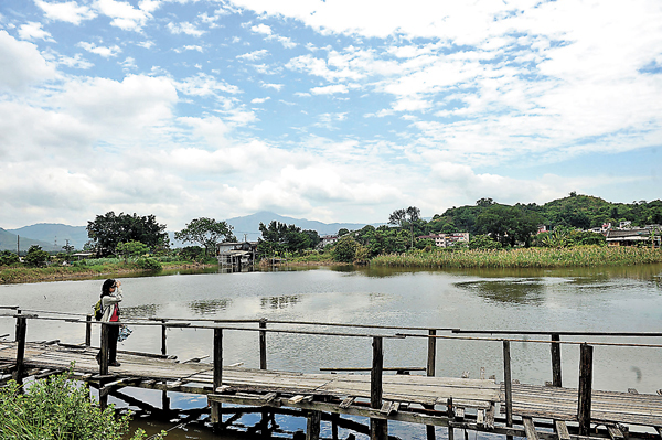 ●城規會接獲來自新田練板村及元朗南生圍榮基村項目申請，兩者皆有提及修復濕地事宜。圖為南生圍。 資料圖片