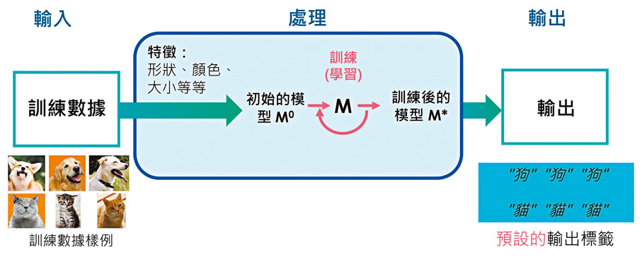 ● AI模型訓練由輸入、處理和輸出三個過程組成，簡稱IPO過程。作者供圖