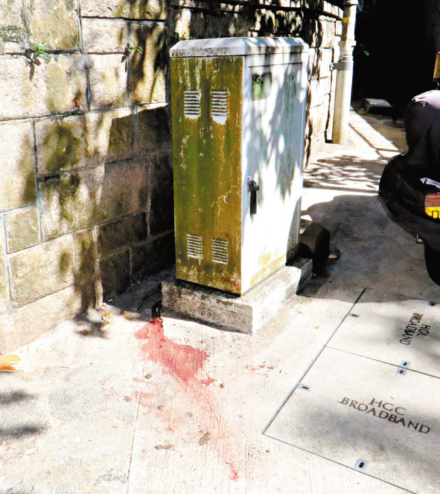 ●野豬墮斃位置仍遺留大灘血漬。香港文匯報記者 攝