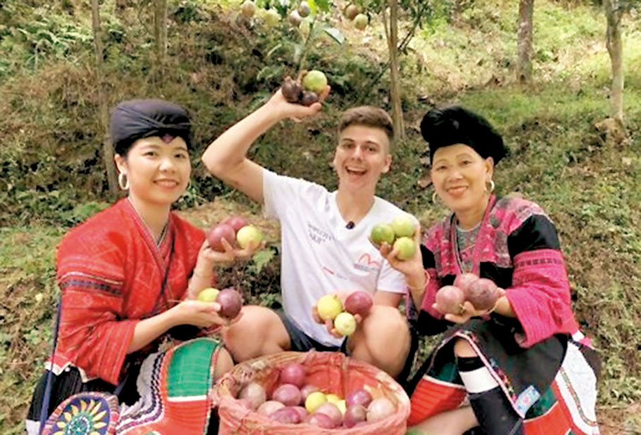 ●羅伯特和廣西黃洛瑤寨婦女一起摘百香果。