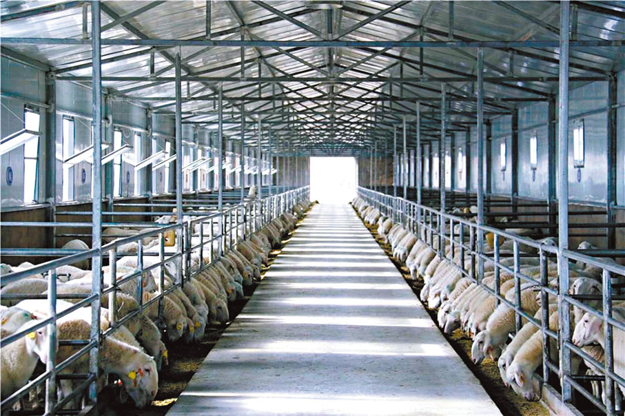 ●養殖產業成為當地農民致富的主要抓手之一。受訪者供圖