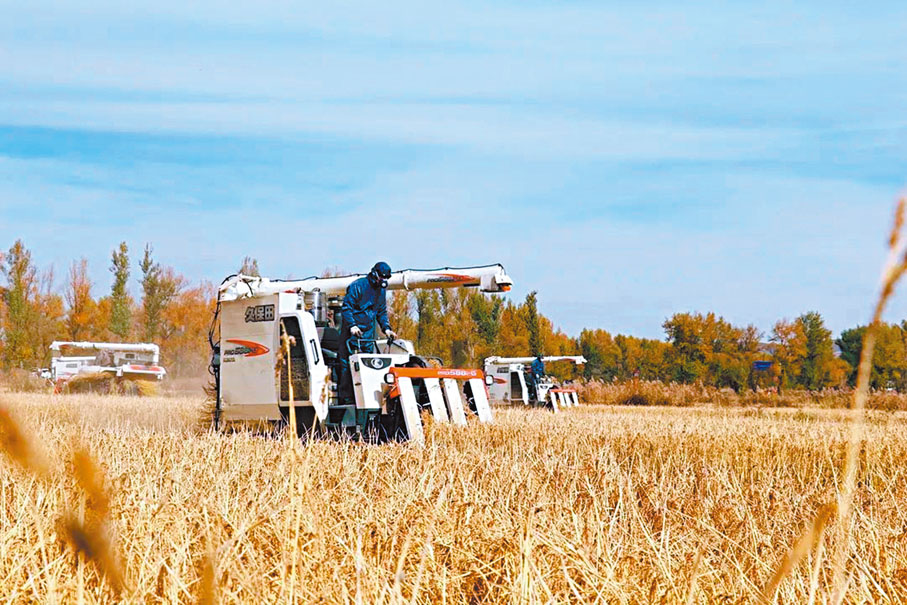 ●耕種管收全程機械化作業服務極大減輕農民的生產壓力。受訪者供圖