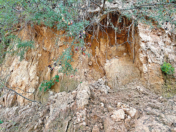 暴雨後 —— 漢霸二王城所在山體坍塌    香港文匯報記者劉蕊  攝