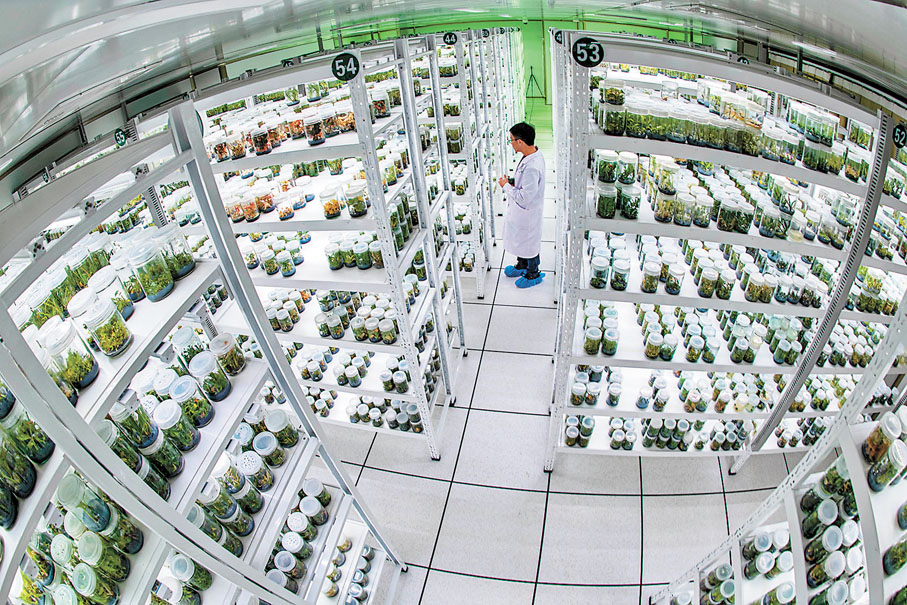 ●早前在中國西南野生生物種質資源庫拍攝的離體保存庫。資料圖片