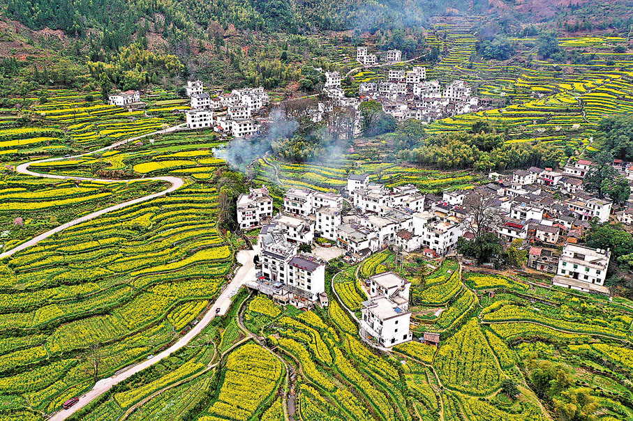 ● 江西上饒市婺源縣的油菜花田非常有名。 資料圖片