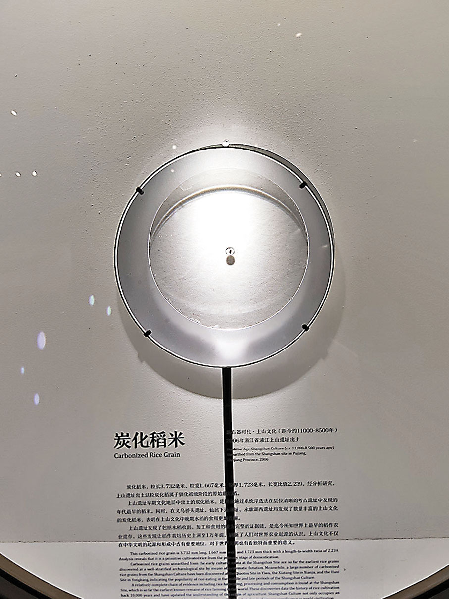 ●炭化稻米憑「資歷」獨享一整個封閉展台。