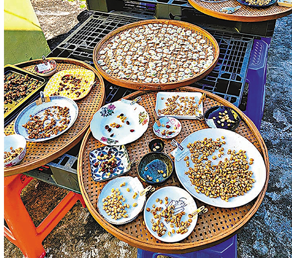 ●咖啡豆和薑黃花等作物。 香港文匯報記者鍾健文  攝