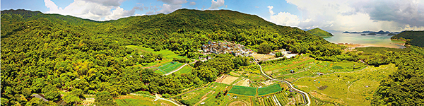 ●荔枝窩村全景。港大圖片