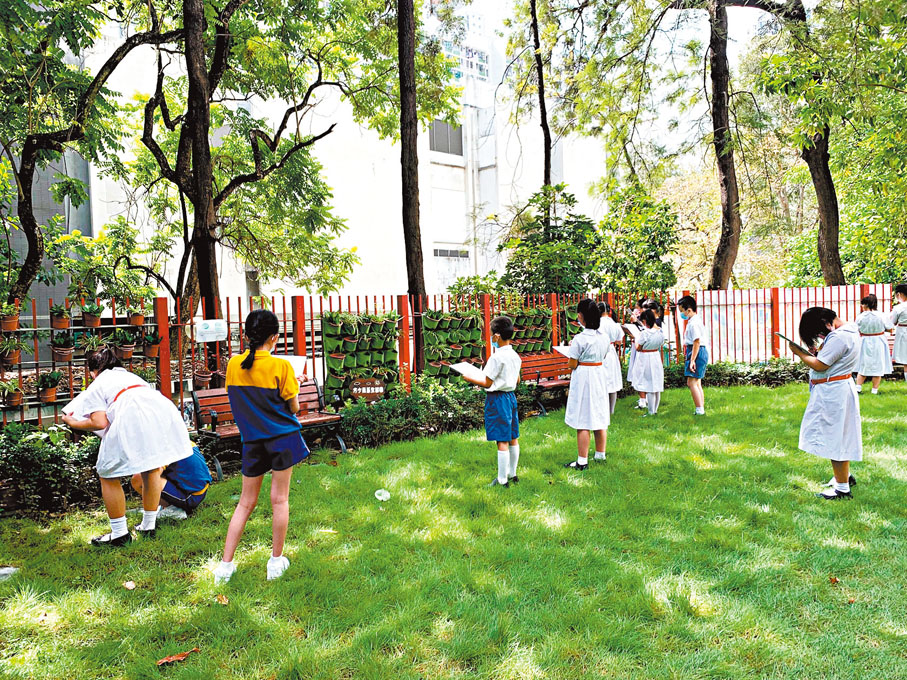 ● 學生們在「方少青葱生態園」進行教學活動。 作者供圖