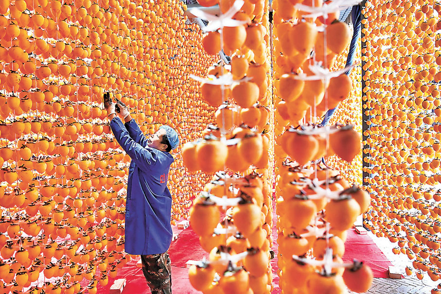 ● 富平縣的柿餅是當地名產。 資料圖片