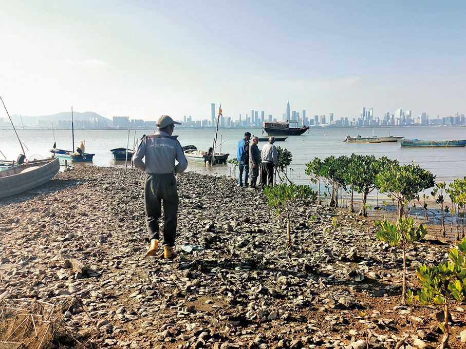 ● 流浮山坑口村岸邊是其中一個海上走私黑點。香港文匯報記者 攝