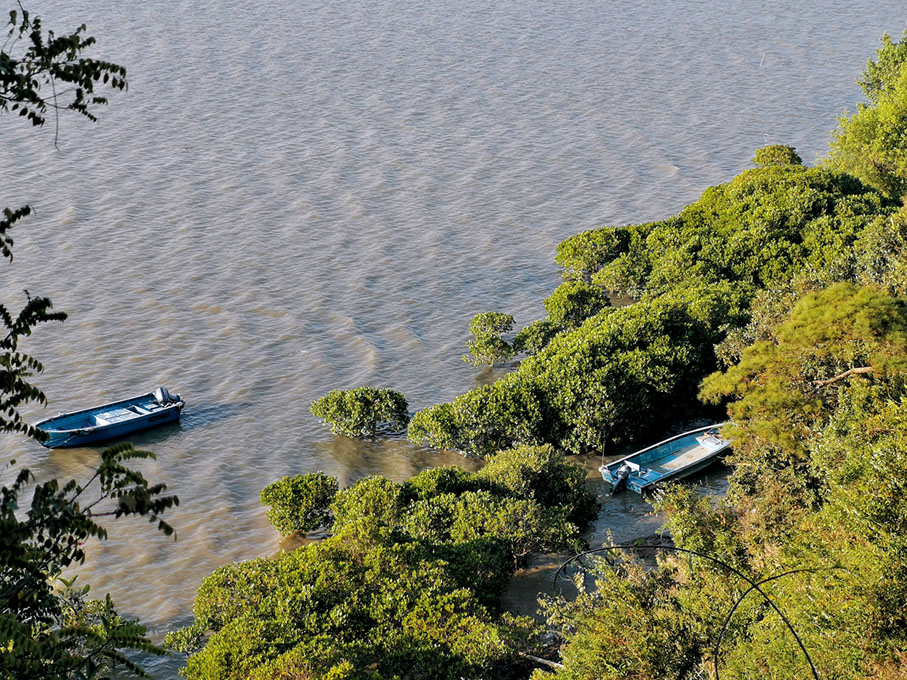 ● 上周，記者發現兩條走私船藏匿於流浮山沙橋村海邊的紅樹林中。 香港文匯報記者 攝