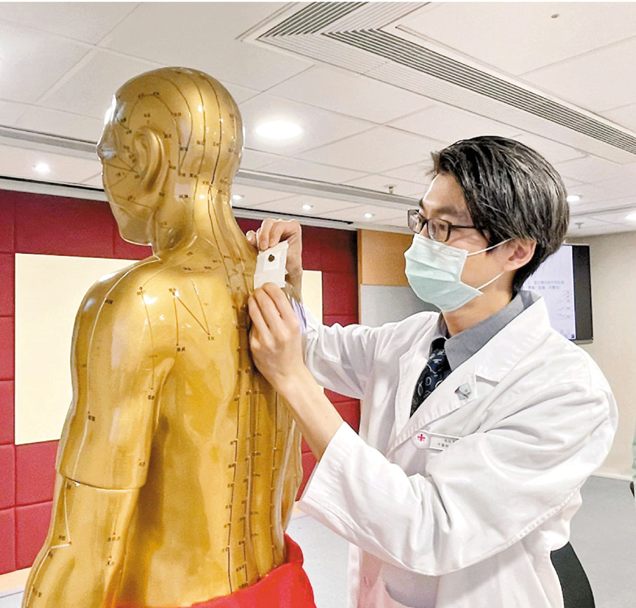 ●醫管局18區中醫教研中心「三九天灸」服務，陳啟賢示範天灸貼藥。香港文匯報記者 攝