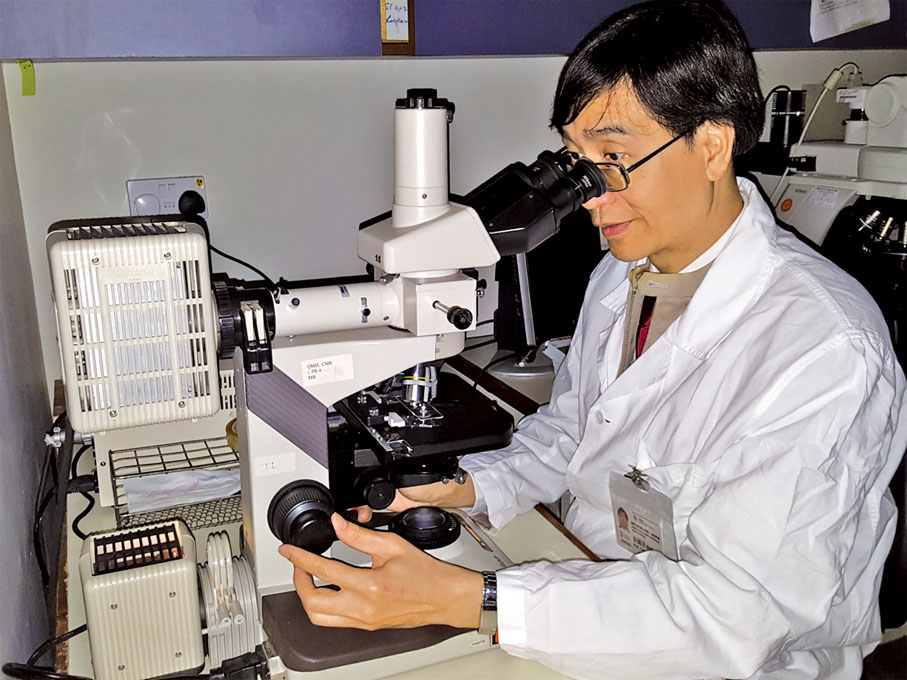 ● 袁國勇教授在顯微鏡下檢視樣本。