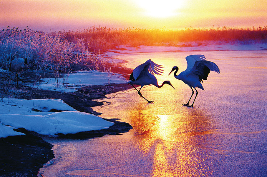 ●冰雪產業發展離不開冰雪文化。