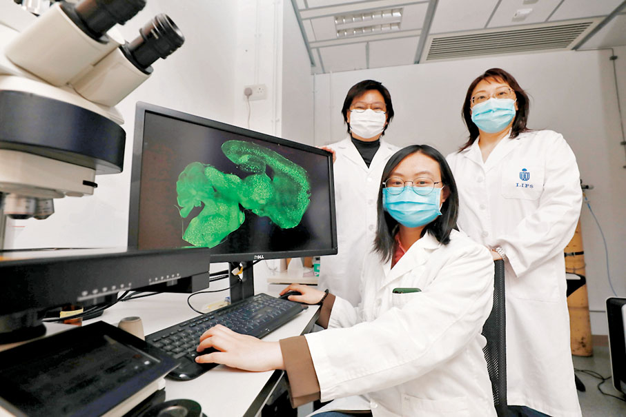 ●段揚揚（圖正中）表示，FAD致病原理清楚，因此可通過基因編輯作治療手段。香港文匯報記者  攝