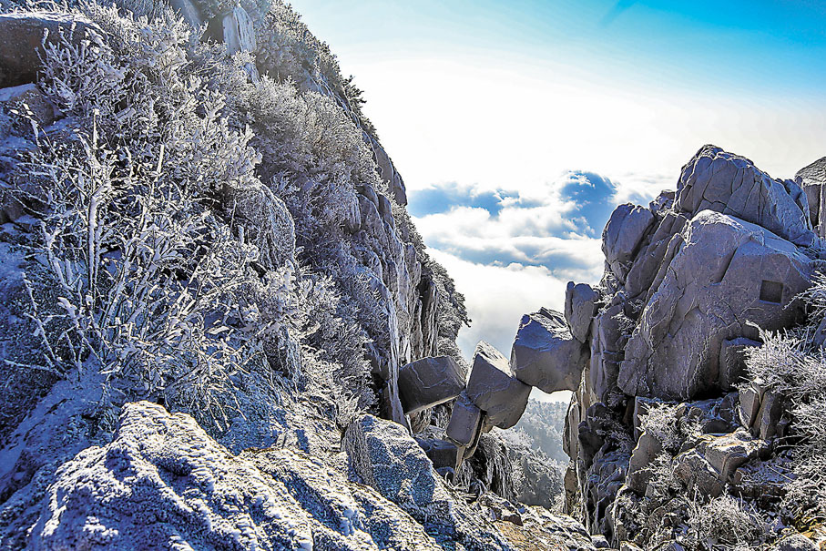 ●霧景觀與雲海