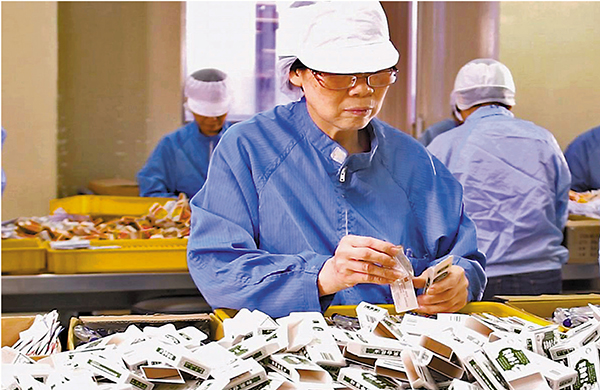 ◆香港的紫花油、和興活絡油正式獲批內地上市。圖為和興活絡油在香港的生產廠區。受訪者供圖