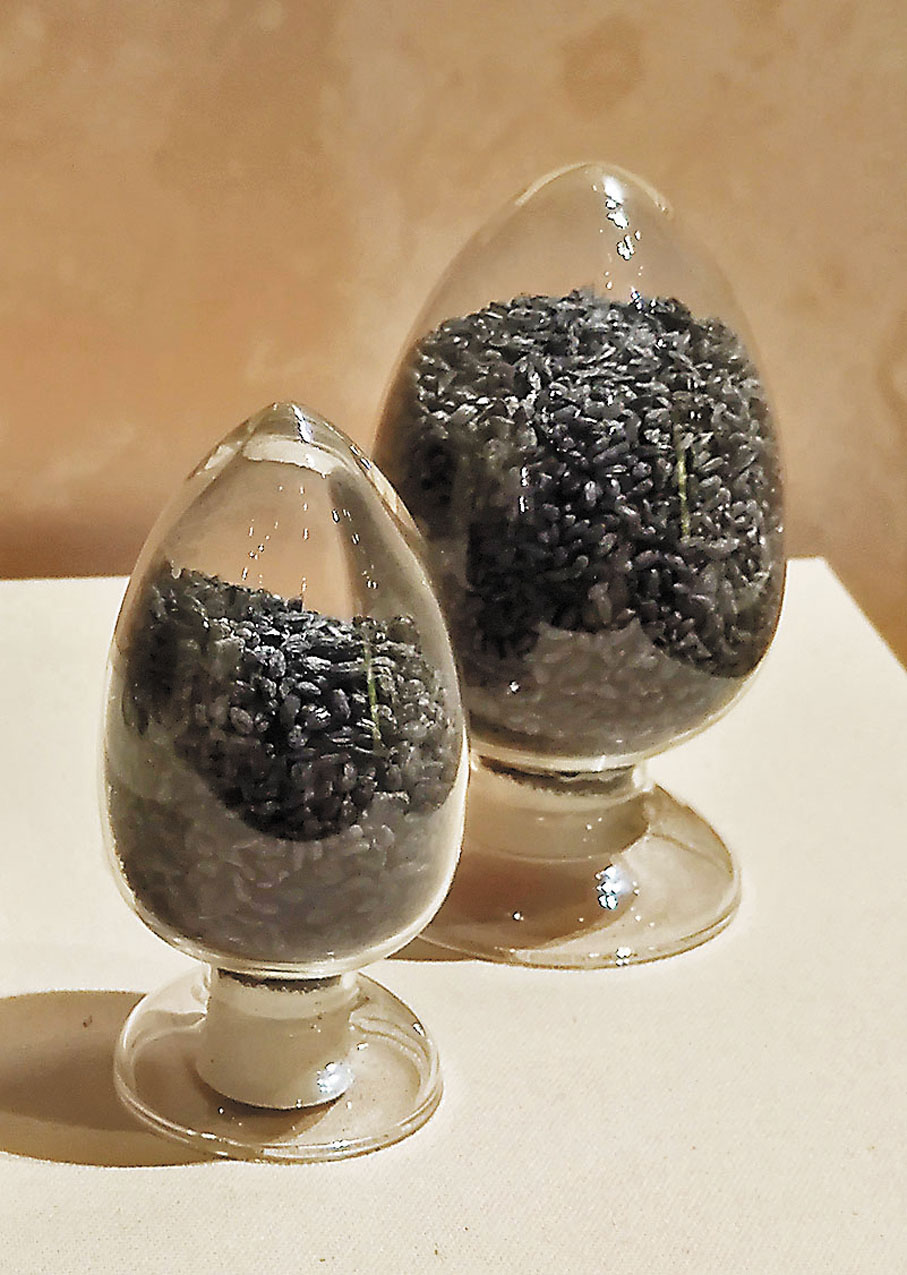 ◆新石器時代稻米。