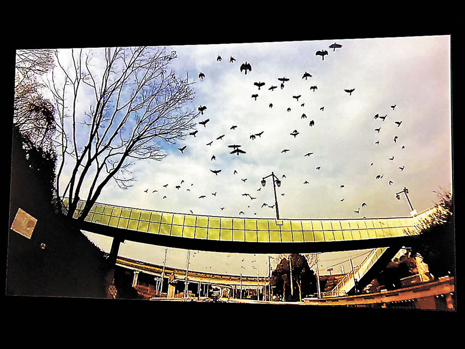 ◆《死亡之黑》將探索點對焦烏鴉。