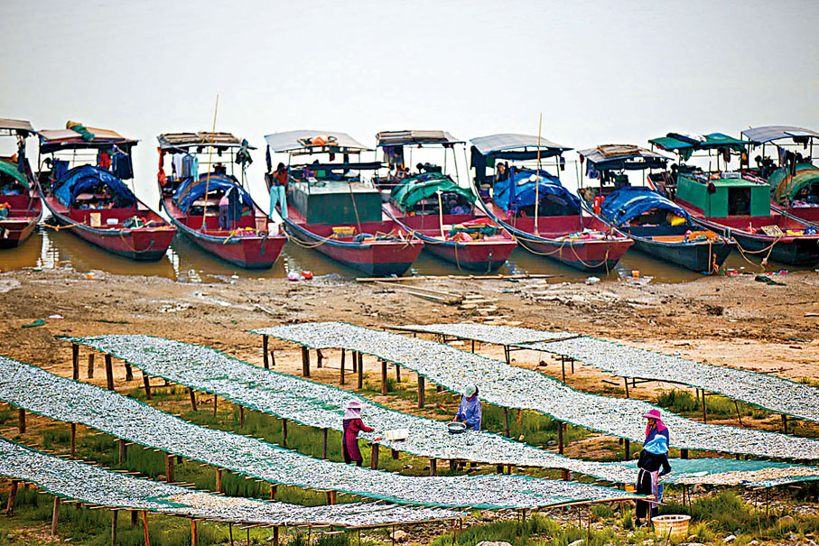 ◆退捕前鄱陽湖沿岸漁民在晾曬魚乾。香港文匯報特約通訊員傅建斌  攝