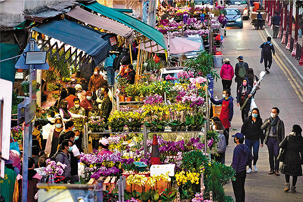 ◆全港年宵巿場被叫停，花墟花巿將成為巿民購年花的唯一選擇。 香港文匯報記者  攝