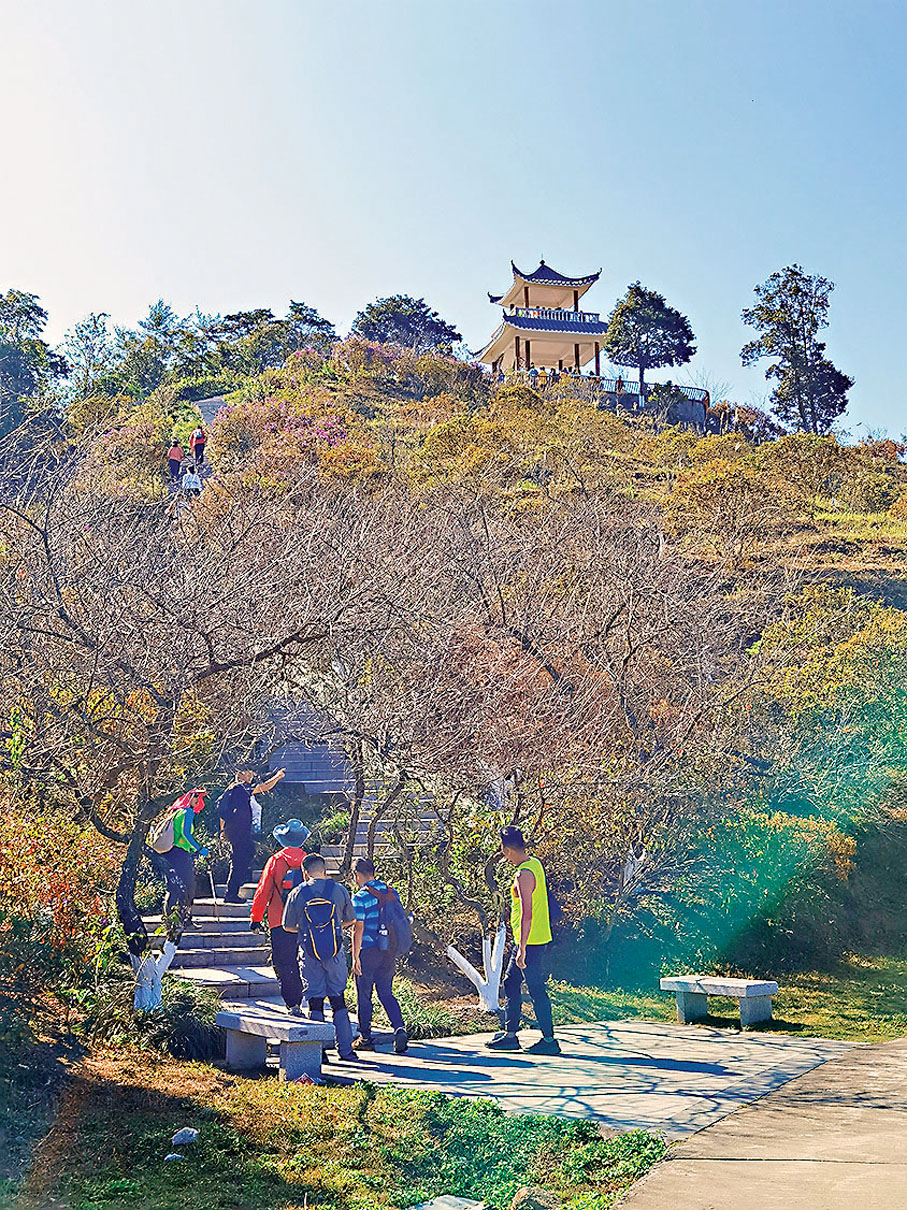 ◆馬巒主峰梅亭。 作者供圖