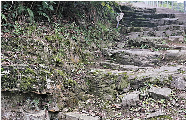 ◆殘存步道。