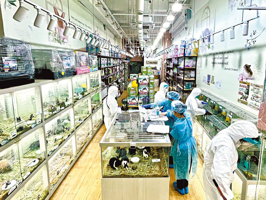 ◆I Love Rabbit集團旗下分店及倉庫的35個環境樣本，對病毒測試呈陽性反應。圖為防護人員於旺角分店收集環境樣本。  資料圖片