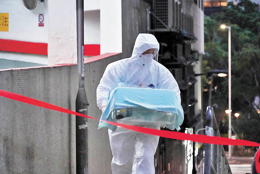 ◆ 豪苑懷疑有倉鼠播疫，有關倉鼠交予漁護署化驗。香港文匯報記者  攝