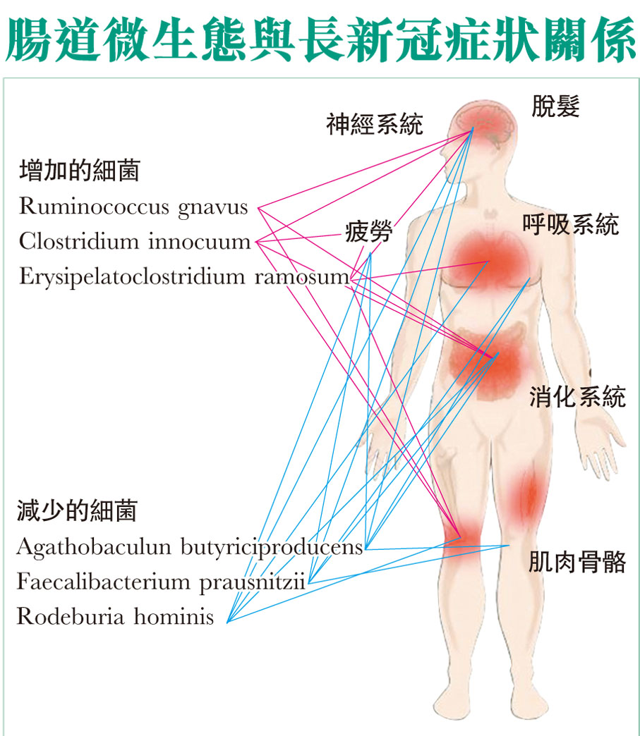 ◆ 香港中大研究報告解說圖