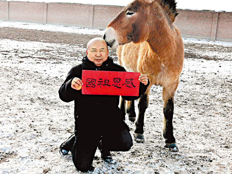 ◆恩特馬克與普氏野馬在一起。恩特馬克供圖