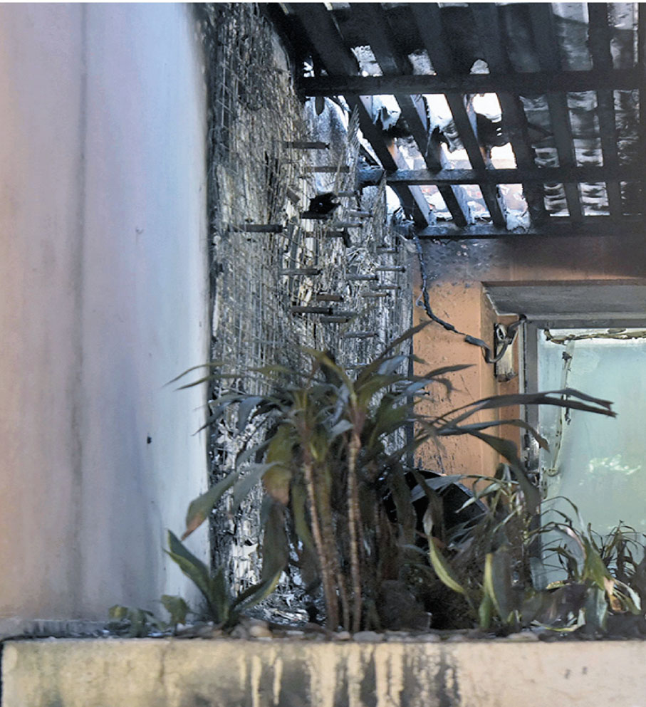 ◆被投擲汽油彈的青衣樂善堂梁植偉紀念中學花槽及外牆熏黑。 資料圖片