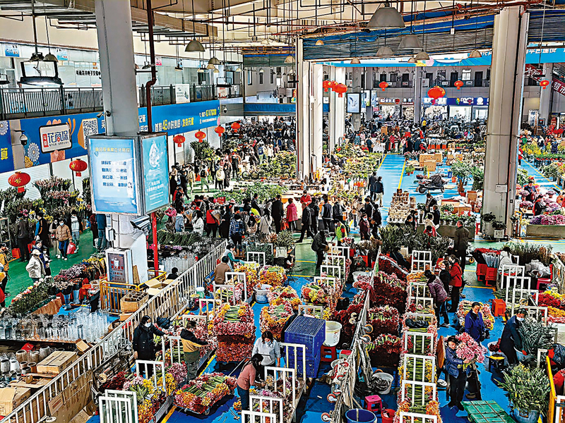◆ 情人節前夕，昆明斗南花卉市場熱鬧非凡 。  