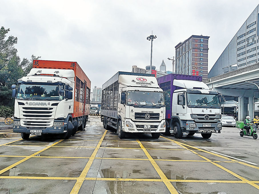 ◆文錦渡口岸跨境供港菜車忙碌。 香港文匯報記者李昌鴻 攝