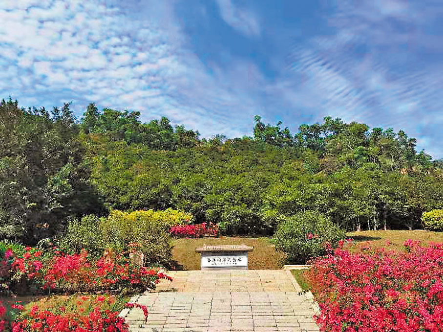 ◆香港回歸紀念林位於深圳仙湖植物園西北山坡上。 作者供圖