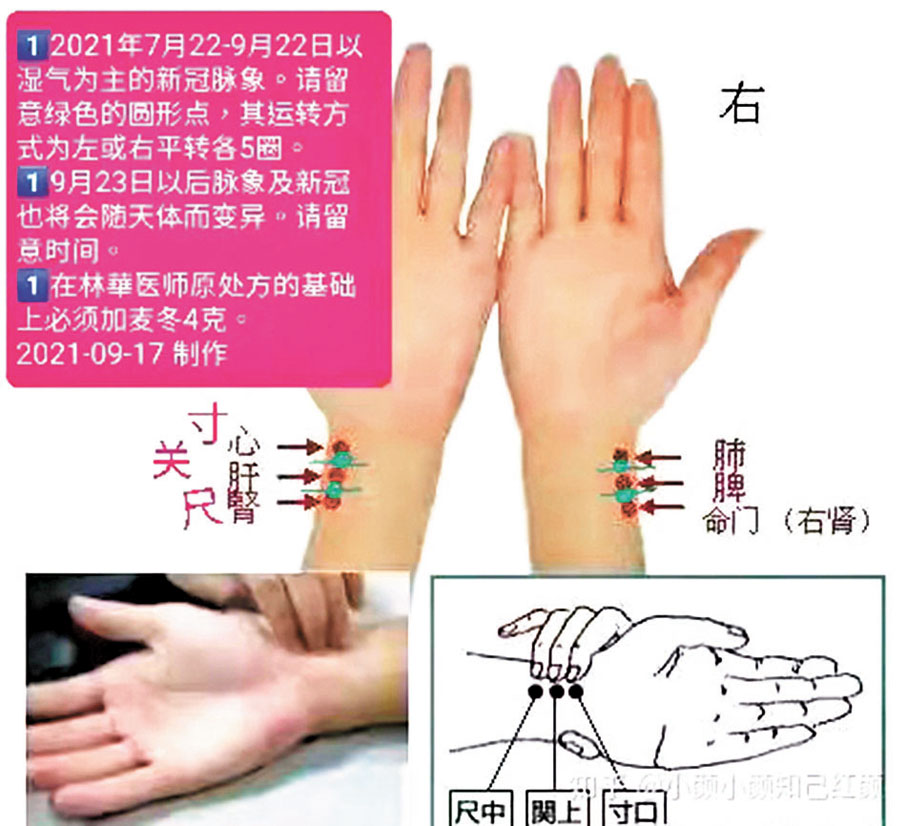 ◆遠程號脈