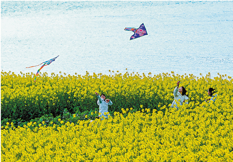 ◆遊人們在江邊放風箏。