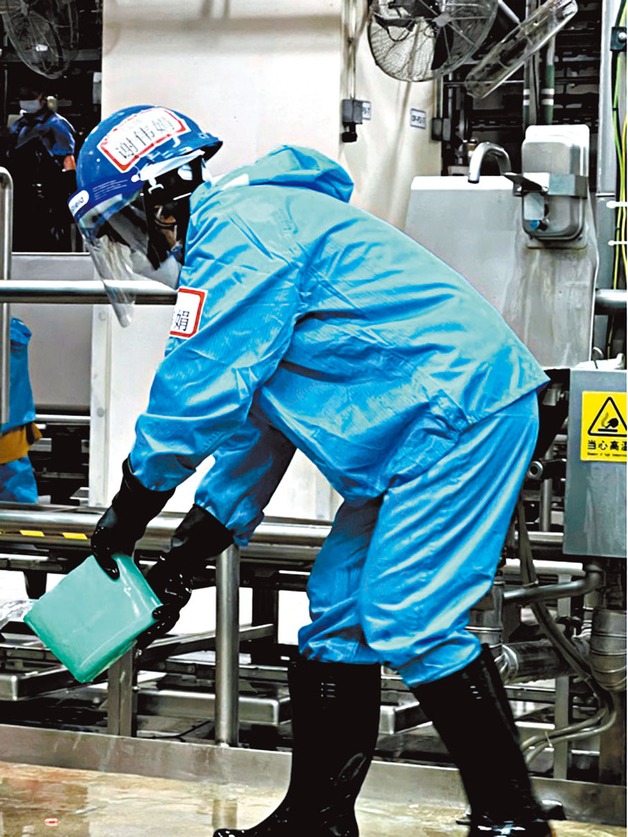 ◆謝偉娟清洗上水屠房生產線，準備後續切割工作。