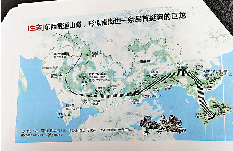 ◆深圳山脊龍脈示意圖。 作者供圖