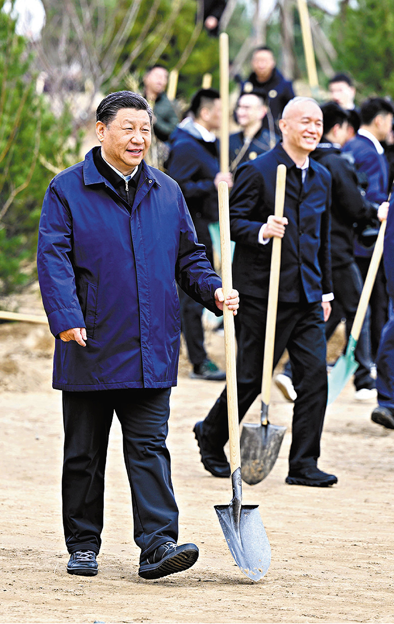 ◆ 習近平拿起鐵鍬走向植樹地點。     新華社