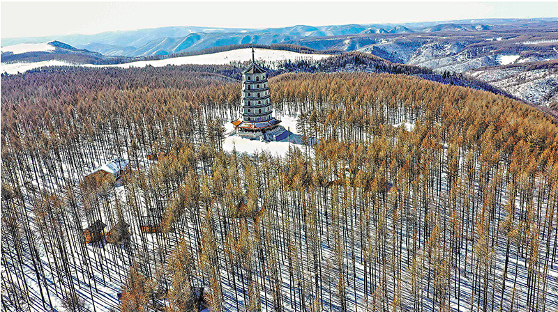 ◆塞罕壩國家森林公園雪景