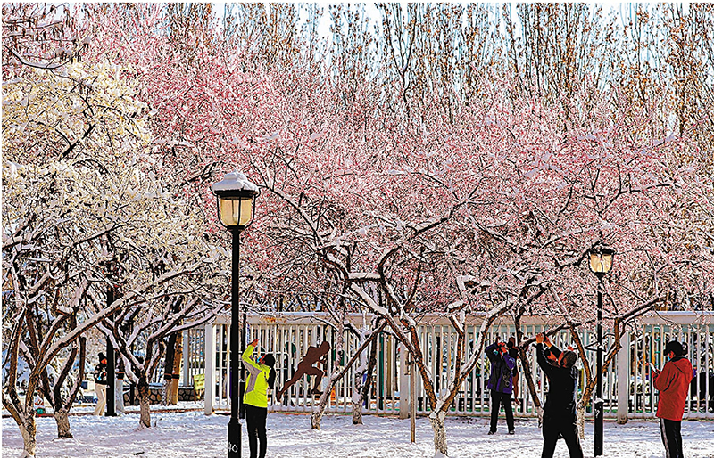 ◆在大興區濱河公園，人們欣賞雪景。