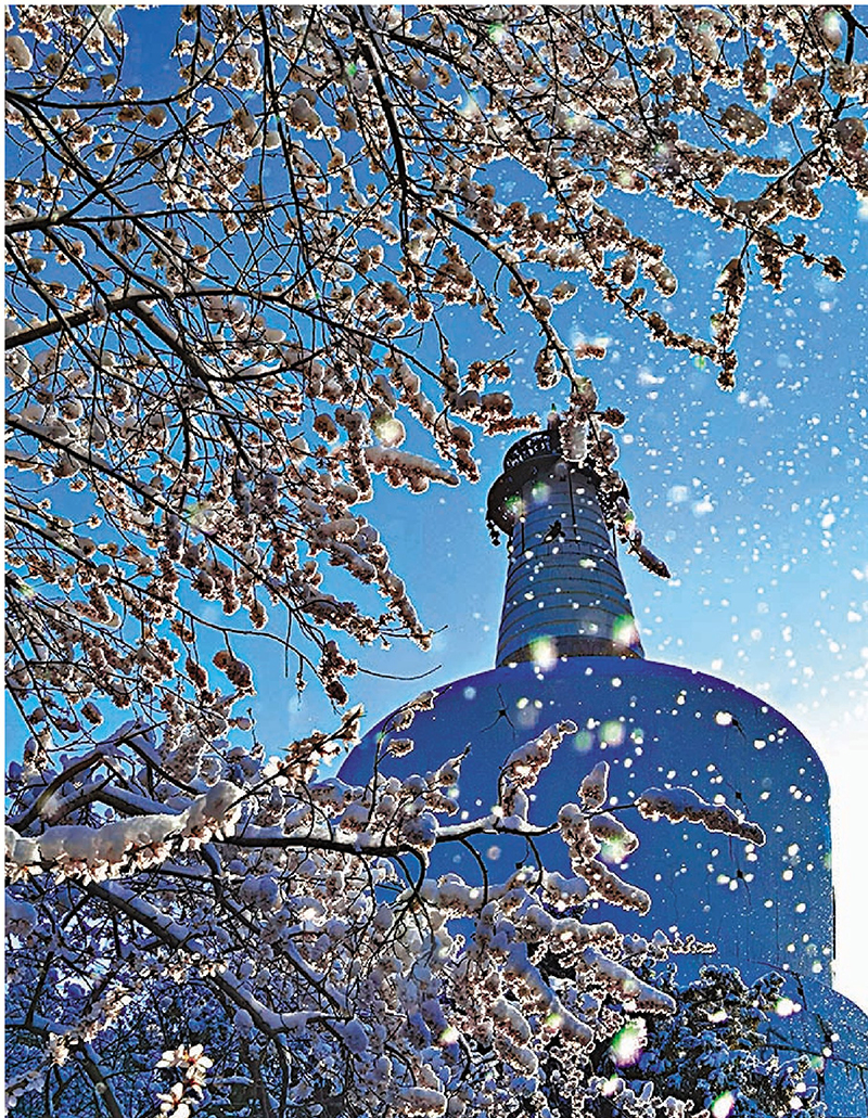 ◆北海公園雪景