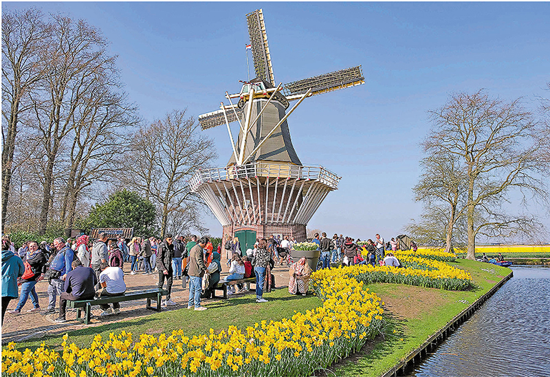 ◆遊客在荷蘭利瑟的庫肯霍夫公園遊覽。