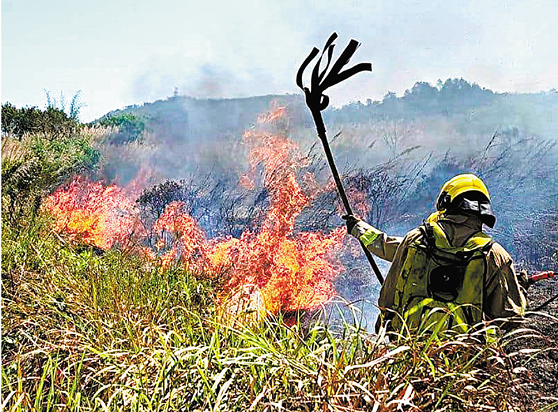◆清明節發生多宗山火，消防員努力撲救。 網上圖片