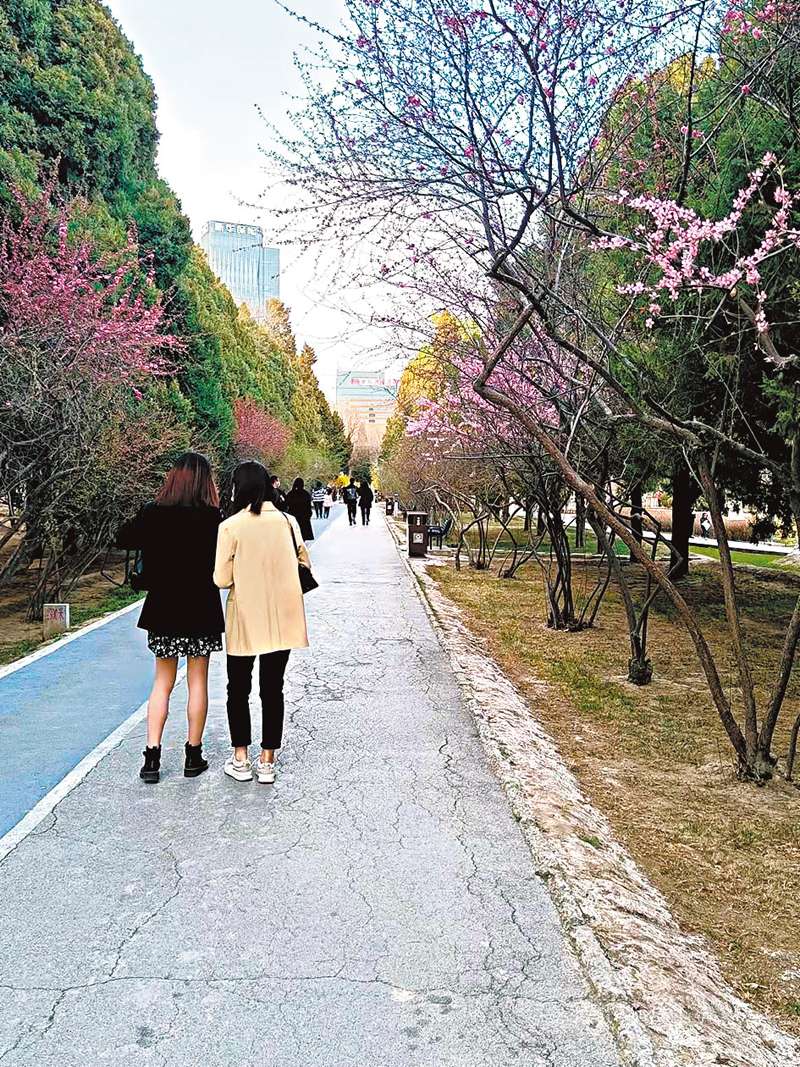 ◆漫步山花小徑