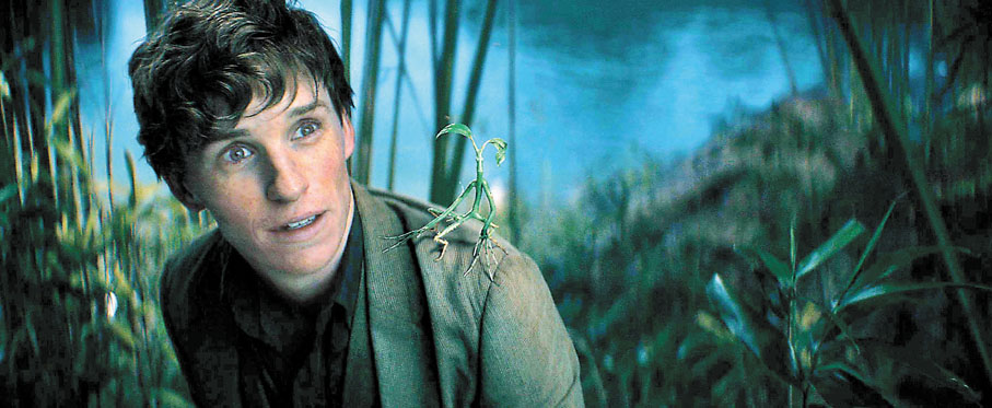 ◆艾迪烈柏尼飾演紐特。